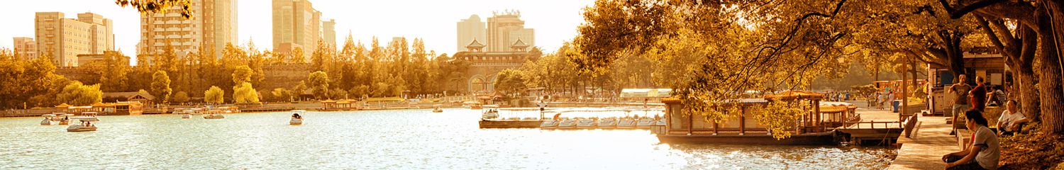 Ways to Enjoy Your Trip