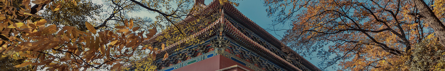 Must-See Attractions